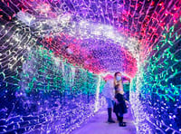 Tunnel of Lights experience opens for a fifth year