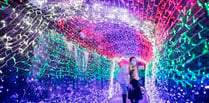 Tunnel of Lights experience opens for a fifth year