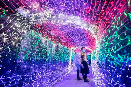 Tunnel of Lights experience opens for a fifth year