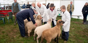 No animals for Liskeard and District Prime Stock show amid outbreak