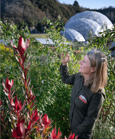 Florence Mansbridge, Eden Project living landscapes educator, with flowering plants