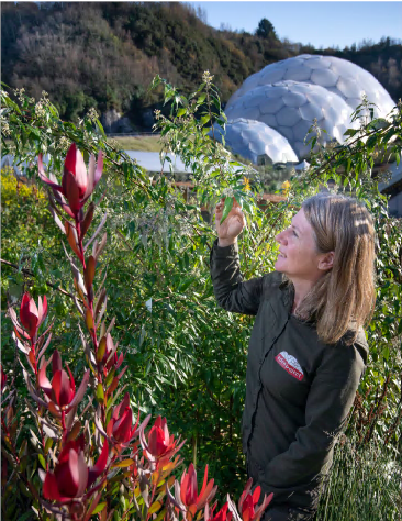 Florence Mansbridge, Eden Project living landscapes educator, with flowering plants