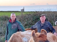 Penwith Moors farmers fear for their livelihoods