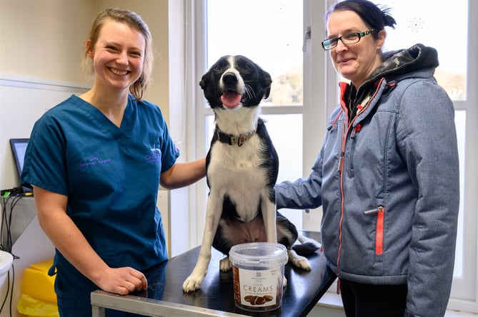 Vet’s warning to keep Christmas treats away from pets