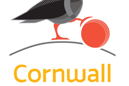 Cornwall Cricket League results from Saturday, June 17