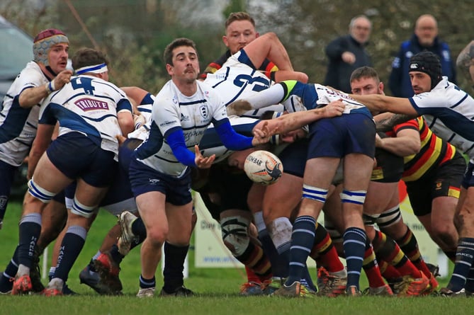 St Ives Rugby 1