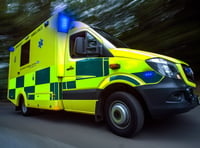 Paramedics helped motorist after crash