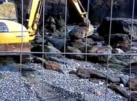 Eco warriors halt work to concrete cliff