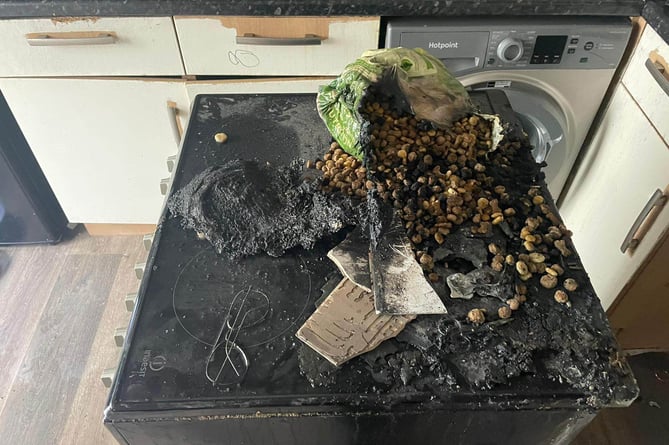 The kitchen fire believed to have been started by a dog
