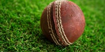 Bursaries available for kids' cricket days