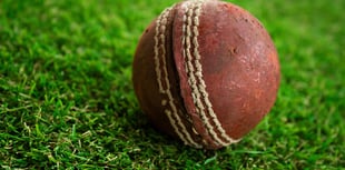 Bursaries available for kids' cricket days