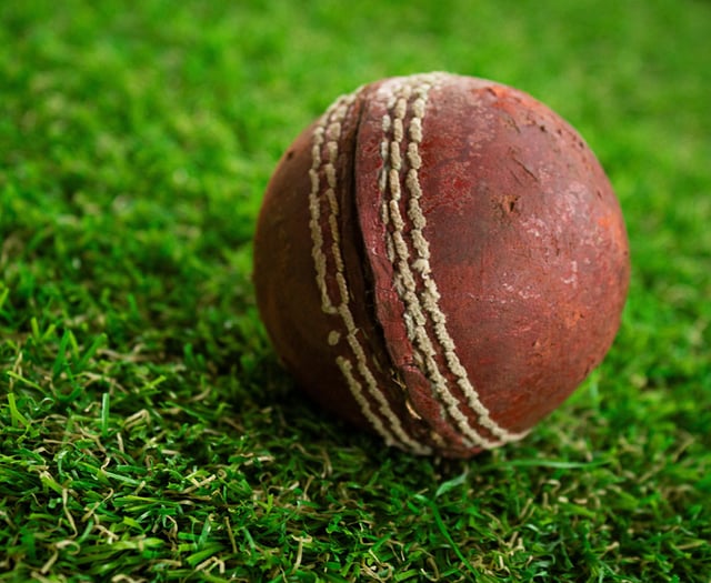 Bursaries available for kids' cricket days