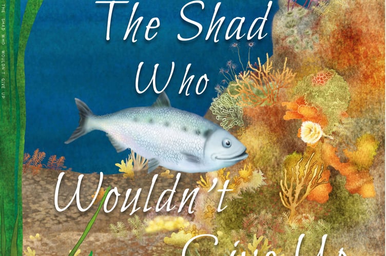 The new book following the journey of a rare allis shad fish on the River Tamar