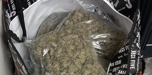 Police find large quantity of suspected cannabis at Cornish property