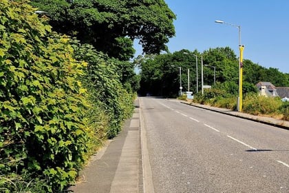 Councillor 'euphoric' as Gunnislake speed cameras go online 