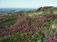 West Penwith Moors and Downs given new protected status 