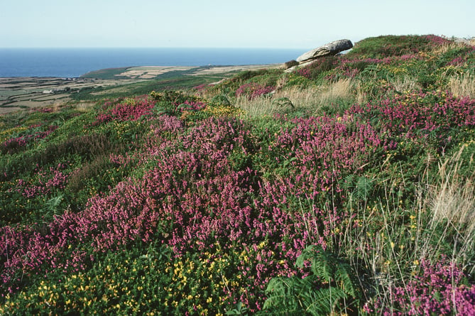 North from Beagle Todn Downs