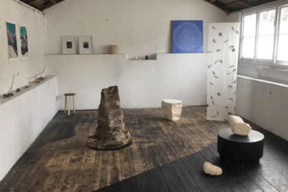 New art exhibition unveiled in Newquay