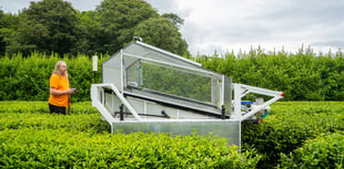 UK’s first robot tea harvester showcased in Cornwall