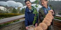 Teenager gifts Eden with special plant