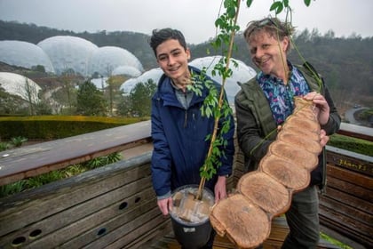Teenager gifts Eden with special plant