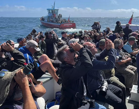 Bird watchers on boats (SWNS)