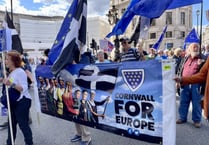 Cornish supporters attend Brexit protests in London