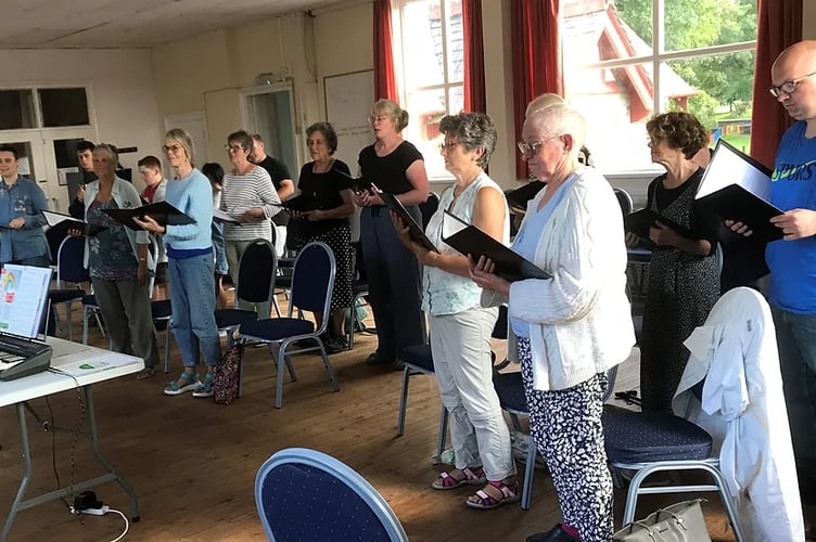 Bodmin way community choir.jpg