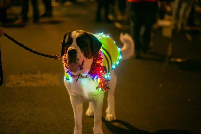 Camborne Lights