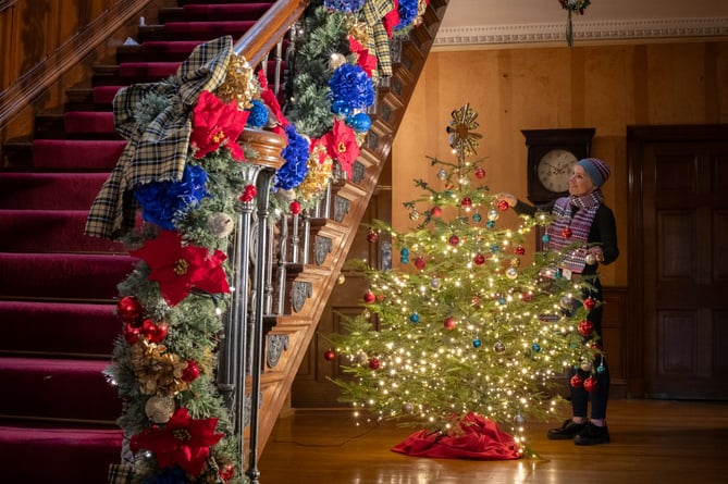 National Trust's Trellisick House & Gardens  in Cornwall is getting the Christmas treatment by staff and volunteers