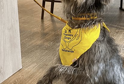 Therapy dog Frankie helping patients at the hospital