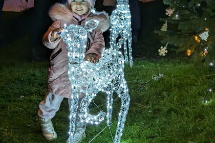 Village create heartwarming display of Christmas lights
