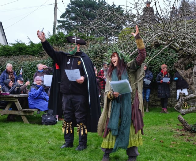 Orchard in Par hoping for a bumper harvest