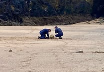 Royal Navy bomb disposal experts descend on Newquay Beach