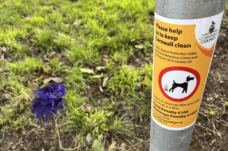 Countryside rangers in Truro have been highlighting the issue of dog mess by spray painting the offending articles purple