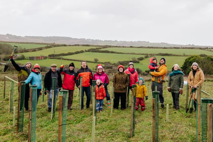 Architects plant 400 trees to help reforest local countryside