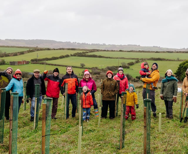 Architects plant 400 trees to help reforest local countryside