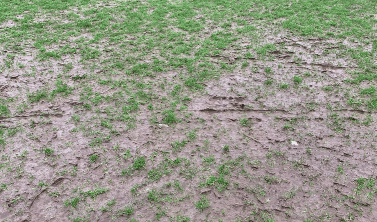 Waterlogged Kellaway Park