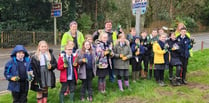 Mevagissey school helps green space come alive