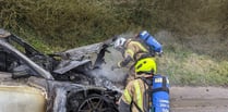 Car destroyed after fire 