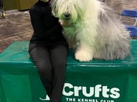 Lowen scores highly at Crufts