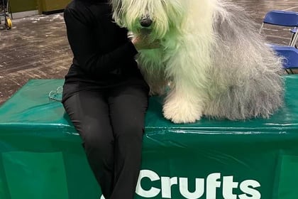 Lowen scores highly at Crufts