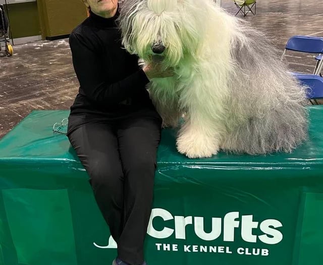 Lowen scores highly at Crufts