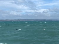 Lifeboat crew saves humpback whale trapped in fisherman's ropes