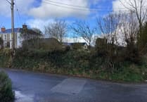 Housing proposal’s loss of Cornish hedge would be ‘criminal’