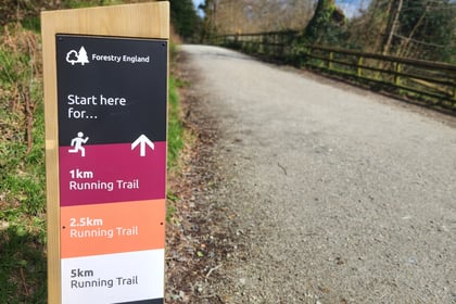 Running trails launched
