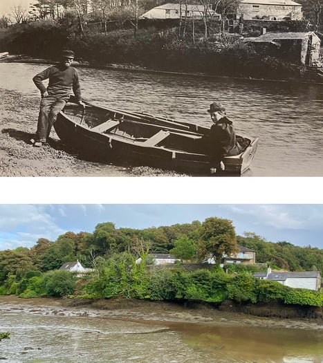 Beatrix Potter location identified and celebrated