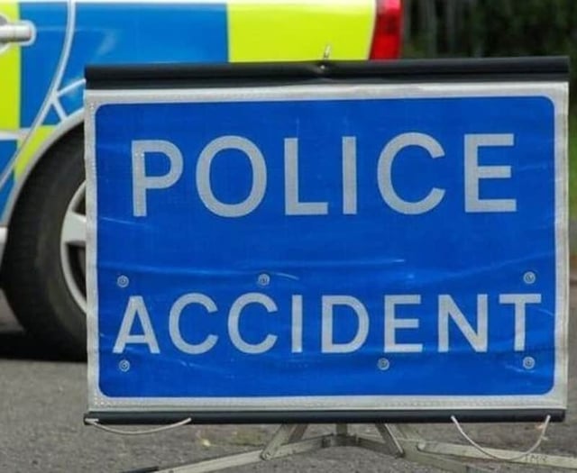 Police appeal for witnesses following fatal collision 