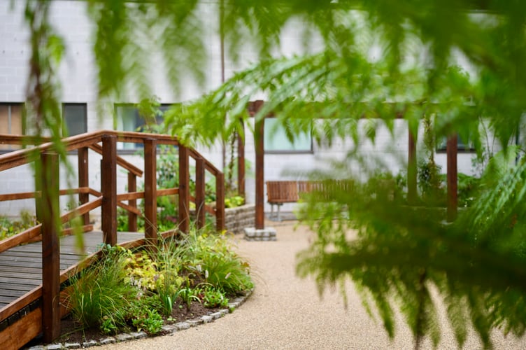 The Critical Care Healing Garden