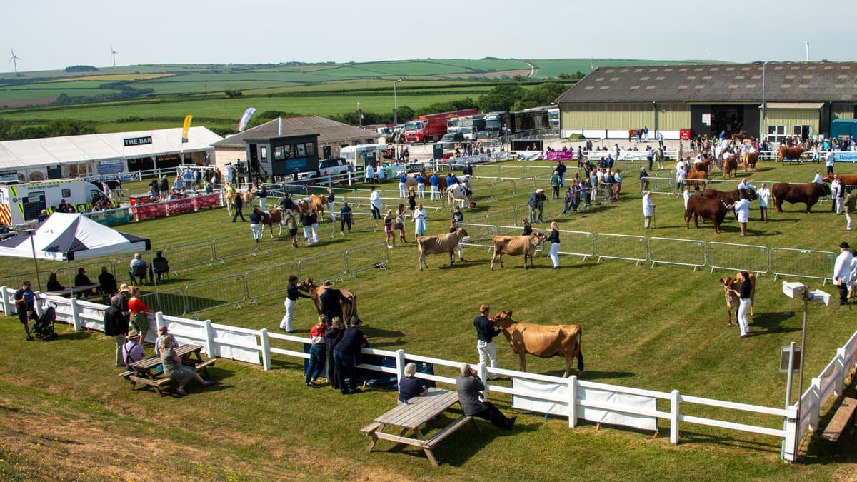 Royal Cornwall Show — the countdown begins voicenewspapers.co.uk